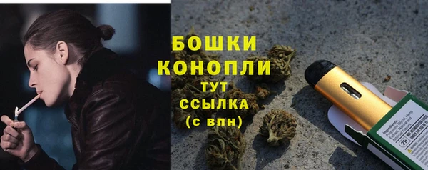 амф Осташков