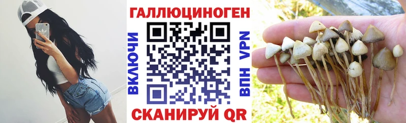 Псилоцибиновые грибы Magic Shrooms Сычёвка