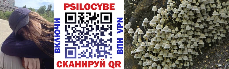 где можно купить наркотик  Сычёвка  Псилоцибиновые грибы Psilocybine cubensis 